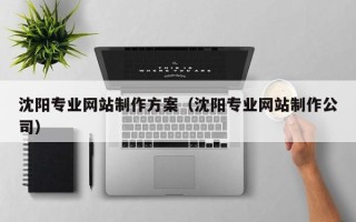 汕头沈阳专业网站制作方案（沈阳专业网站制作公司）